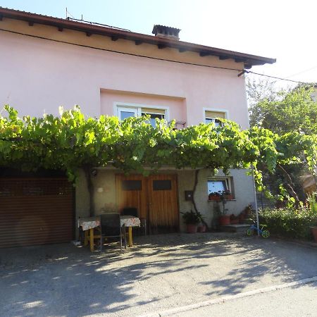App Karolina Apartment Tolmin Luaran gambar